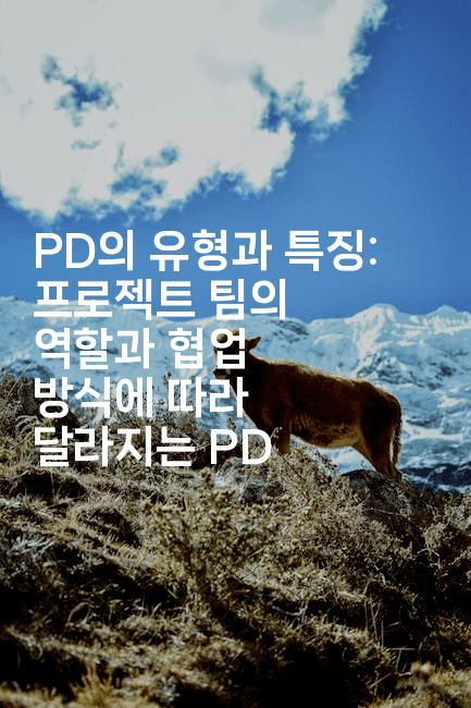 PD의 유형과 특징: 프로젝트 팀의 역할과 협업 방식에 따라 달라지는 PD