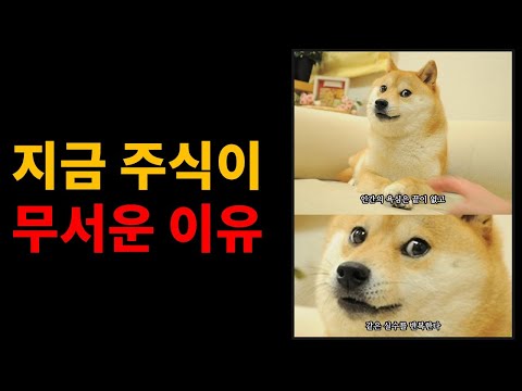 지금 주식 시장이 무서운 이유!