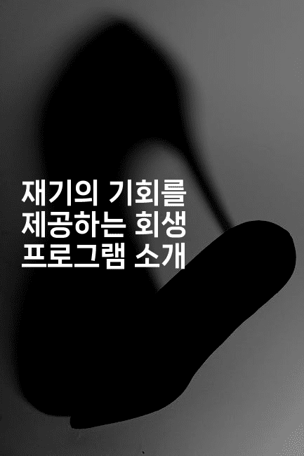 재기의 기회를 제공하는 회생 프로그램 소개