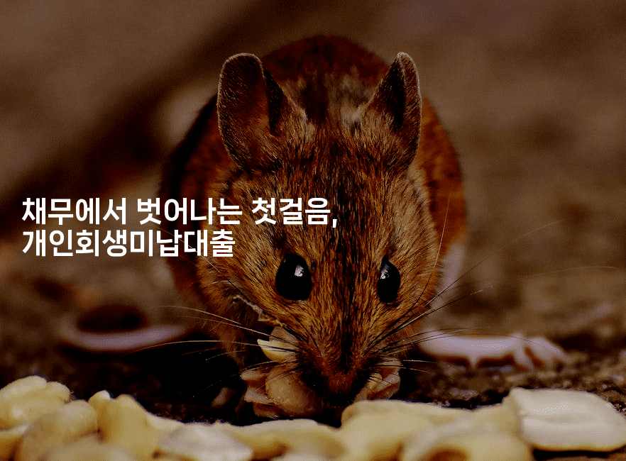 채무에서 벗어나는 첫걸음, 개인회생미납대출-쥬크박스