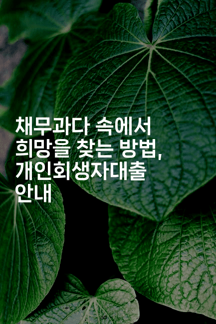 채무과다 속에서 희망을 찾는 방법, 개인회생자대출 안내-쥬크박스