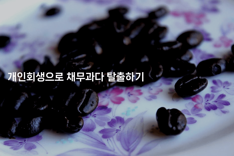 개인회생으로 채무과다 탈출하기