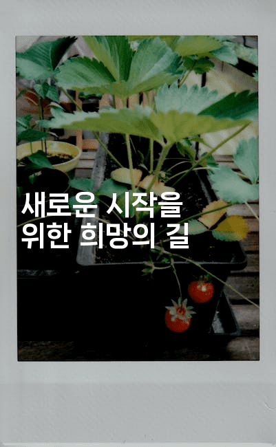 새로운 시작을 위한 희망의 길