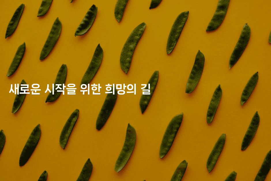 새로운 시작을 위한 희망의 길-쥬크박스