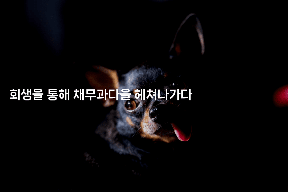 회생을 통해 채무과다을 헤쳐나가다-쥬크박스